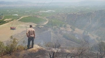 Manisa'da makilik yangını