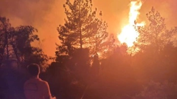 Manisa'da orman yangını: Havadan müdahale sürüyor
