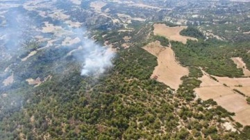 Manisa'da orman yangını... Havadan ve yerden müdahale ediliyor