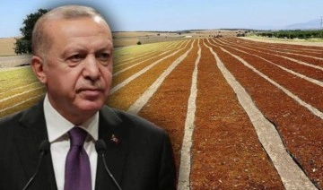 Manisalı üzüm üreticisinden Erdoğan'a: 'Ben ne yiyeceğim? Aç kalacağım'