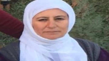Mardin'de otomobil çarpması sonucunda ağır yaralanan kadın, hayatını kaybetti