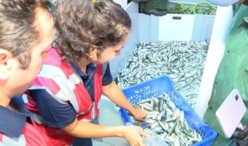 Marmara Denizi'nde avlanan balıkçılar denetlendi