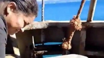 Marmara Denizi’nde batan gemide kadın tayfanın son paylaşımı ortaya çıktı