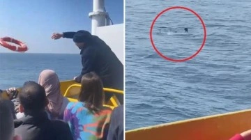 Marmara Denizi'nde feribottan atlayan yolcuyu sahil güvenlik kurtardı