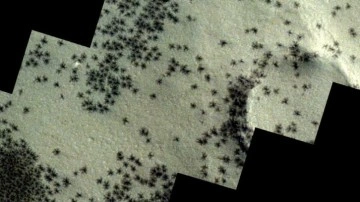 Mars zemininde örümceğe benzeyen madde toplulukları gözlemlendi