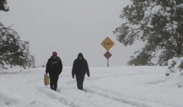 Massive winter storm creates chaos, havoc for US state of California