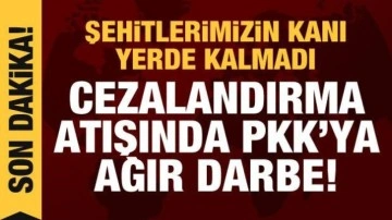 Mehmetçik'ten cezalandırma atışı! 25 PKK'lı terörist etkisiz hale getirildi