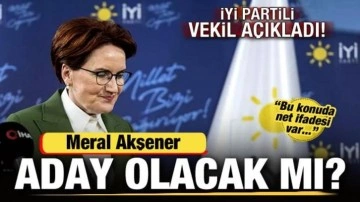 Meral Akşener yeniden aday olacak mı? İYİ Partili vekil açıkladı: Net ifadesi var!