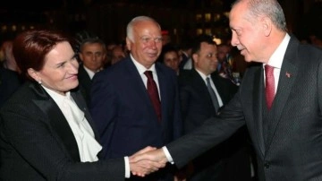 Meral Akşener'den Erdoğan'a altın tepside hediye! Dünya haberi böyle gördü