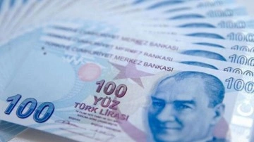 Merkez Bankası ekonomistlerinden çarpıcı Türk lirası analizi!