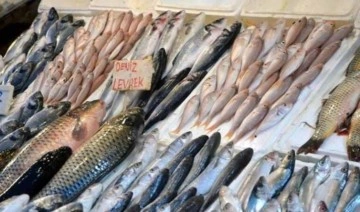 Mersin Balıkçılar Derneği Başkan Yardımcısı Adnan Polat: 'Et fiyatları artınca balığa rağbet ar
