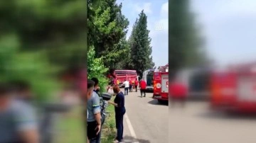 Mersin'de ağaca çarpan kamyonetteki 1 kişi öldü, 6 kişi yaralandı