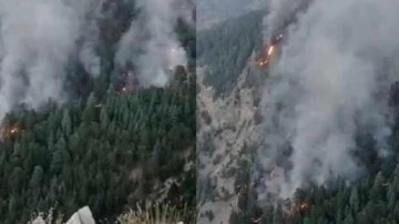 Mersin'de orman yangını devam ediyor! Ekipler bölgede