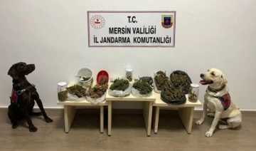 Mersin'de uyuşturucu operasyonu: 1 tutuklama