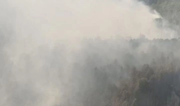 Mersin'deki orman yangını 4'üncü gününde: Kısmen kontrol altında