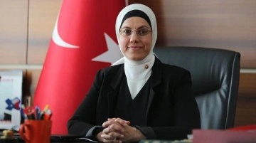 Merve Kavakcı, dış politika danışma kurulundaki görevinden alındı