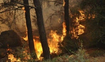 Meteoroloji Çanakkalelileri orman yangınlarına karşı uyardı