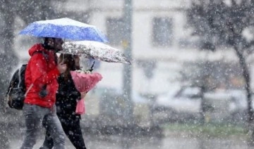 Meteoroloji uyardı: Bitlis, Muş ve Bingöl'de kuvvetli kar yağışı bekleniyor