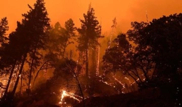 Meteoroloji ve Tunceli Valiliği yangınlara karşı uyardı