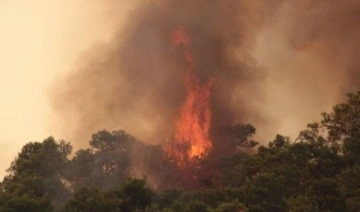Meteoroloji’den Muğla’ya orman yangını uyarısı