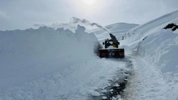 Meteorolojiden Şırnak ve Siirt için yoğun kar ve don uyarısı