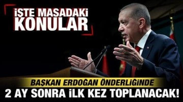 MGK 2 ay sonra ilk kez bugün toplanacak! Cumhurbaşkanı Erdoğan kararları açıklayacak!