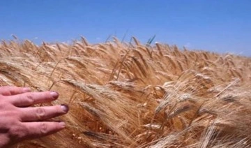 Milli Savunma Bakanlığı'ndan tahıl koridoru açıklaması