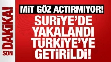 MİT'ten Suriye'de nokta operasyon: Türkiye'ye getirildi!