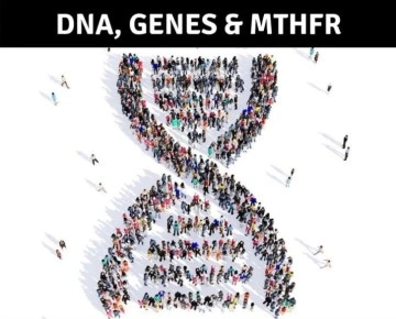 Modern Yaşamın Getirdiği Stres ve Kaygı İle Başa Çıkmak İçin Yeni Umut: MTHFR Geni