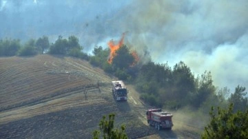 MSB'den Adana'daki orman yangınıyla ilgili açıklama