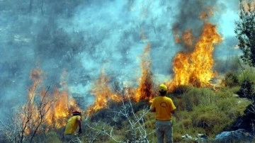 Muğla'da 36 noktada yangın çıktı! Orman Bölge Müdürlüğü sebebini açıkladı