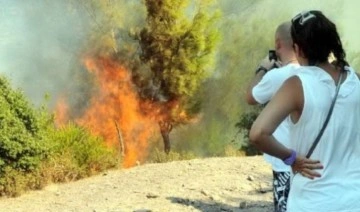 Muğla'da orman yangını: Hava sıcak, rüzgar şiddetli