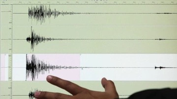 Muğla'da panik yaratan deprem! AFAD son depremin şiddetini açıkladı