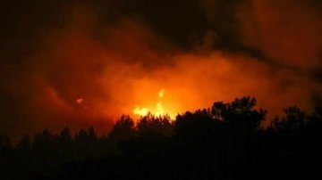 Muğla'daki yangında son durum... Bakan Koca paylaştı