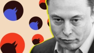 Musk'tan Twitter'da Cinsiyetlerle Alakalı Bir Kelimeye Yasak - Webtekno