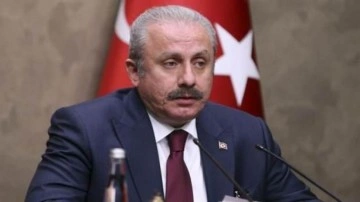 Mustafa Şentop'tan Büyükelçiler Konferansı'nda önemli açıklamalar
