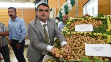 Nazilli&rsquo;de sezonun ilk kuru inciri kilosu 400 TL&rsquo;den satıldı