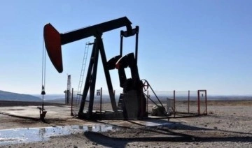 Nijerya Ulusal Petrol Şirketi özelleştirildi