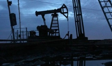 Nijerya'da petrol hırsızlığı: Her gün 400 bin varil petrol çalınıyor