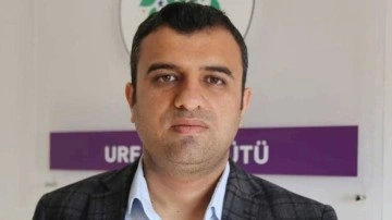 Öcalan'ın milletvekili yeğeninden skandal sözler!