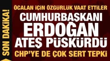Öcalan'a özgürlük istediler! Cumhrubaşkanı Erdoğan ateş püskürdü...CHP'ye de sert tepki