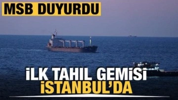 Odessa'dan gelen kuru yük gemisi Razoni İstanbul Boğazı Karadeniz girişine ulaştı