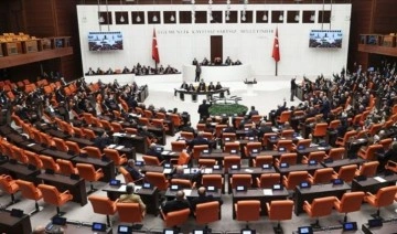 OHAL kapsamında 2 Cumhurbaşkanlığı kararnamesi, Meclis'te