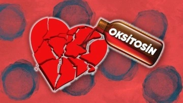 Oksitosinin ‘Kırık Kalpleri’ Tedavi Edebileceği Ortaya Çıktı