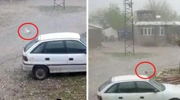 Olay Türkiye'de yaşandı! Vatandaşın tekbir getirerek kaydettiği görüntüye tepki yağıyor
