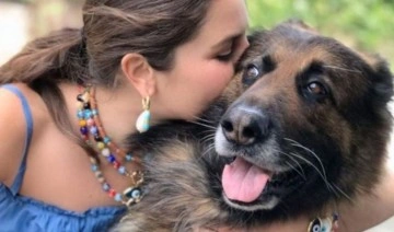 Öldürülen Nero köpeğin sahibine 'iftira' davası: Savcı beraat talep etti