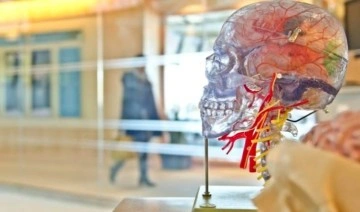 Ölülere kafa nakli yapan beyin cerrahından yeni hamle