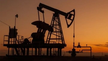 OPEC'in petrol üretimi temmuzda 836 bin varil azaldı!