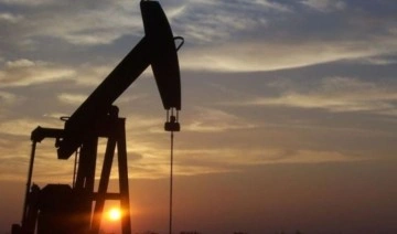 OPEC'ten küresel petrol üretimine ilişkin açıklama