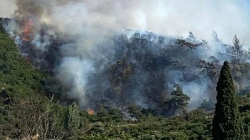 Orman yangını çıktı! Rüzgar kötü ekiliyor havadan ve karadan müdahale sürüyor